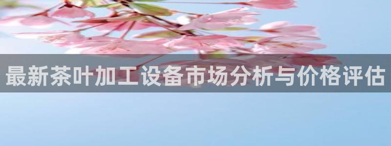 风暴娱乐记