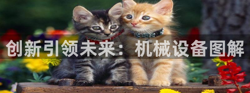 菲律宾风暴娱乐集团