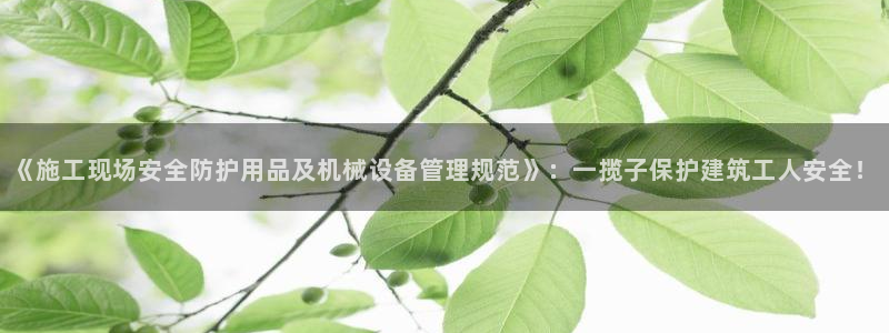 风暴娱乐点
