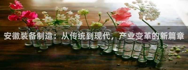 娱乐风暴App