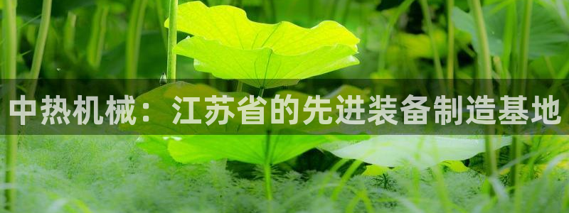 娱乐风暴合集