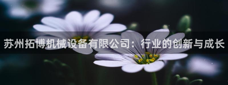 娱乐风暴App