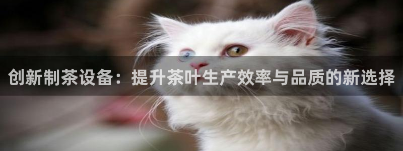 风暴娱乐银川