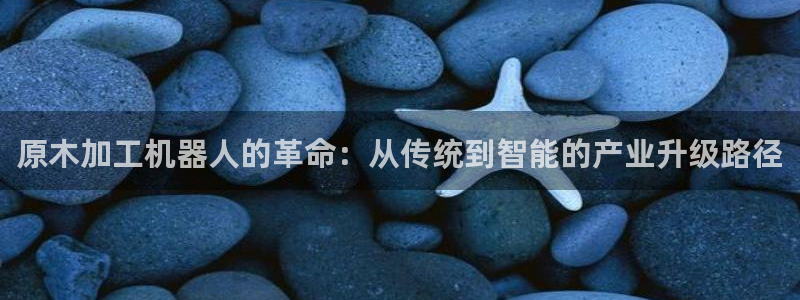 风暴娱乐月5指尖