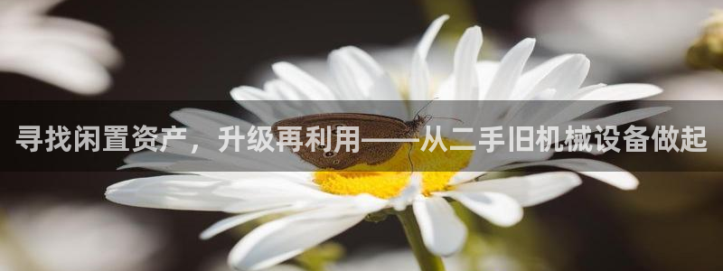 风暴娱乐5O6917