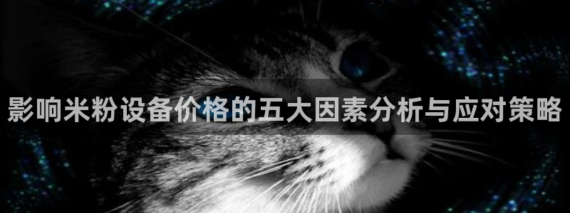 风暴娱乐平台官网登陆
