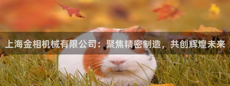风暴娱乐测速