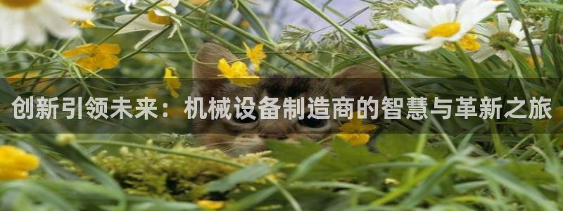 万万娱乐风暴