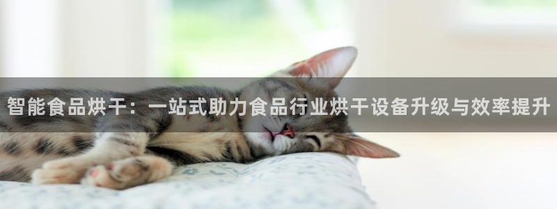 风暴娱乐 风暴注册平台