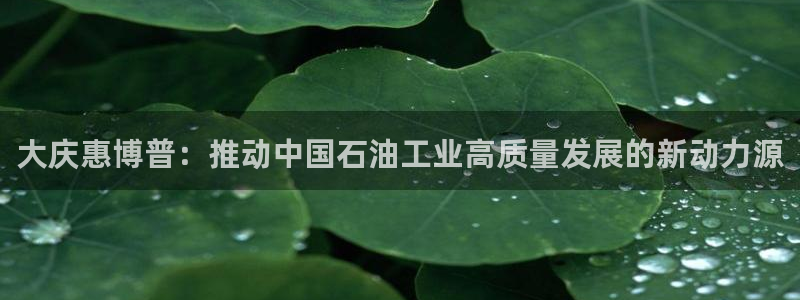 风暴娱乐去人l8888