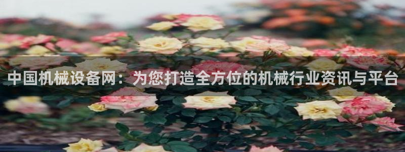 风暴娱乐网