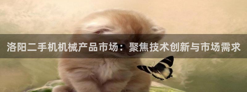 风暴官方娱乐