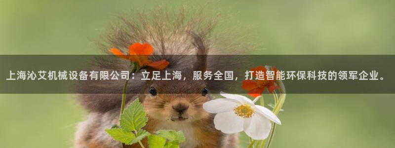风暴娱乐老板