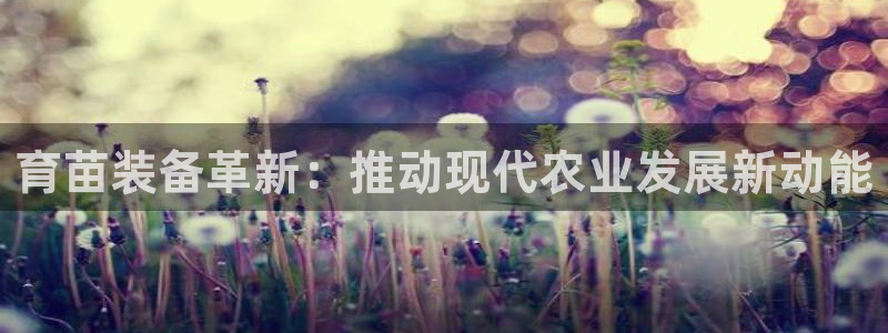 风暴娱乐有5指尖