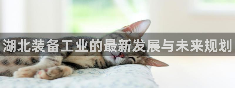 风暴娱乐下载地址