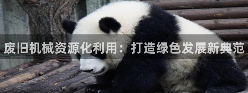 风暴娱乐主管是谁