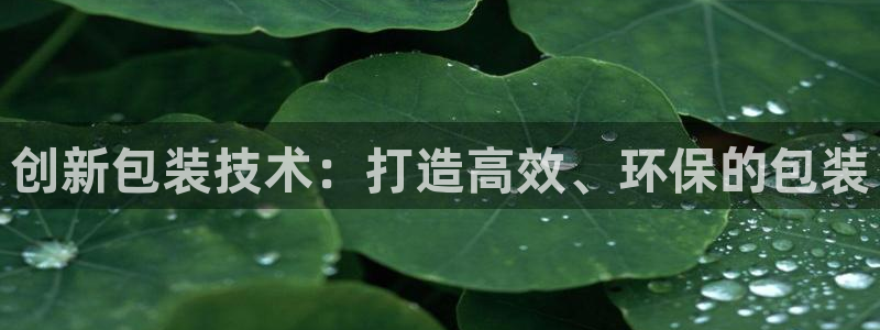 菲律宾风暴娱乐集团