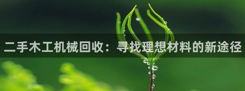 风暴娱乐右5指尖