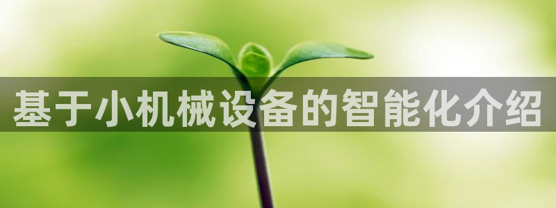 风暴娱乐平台地址