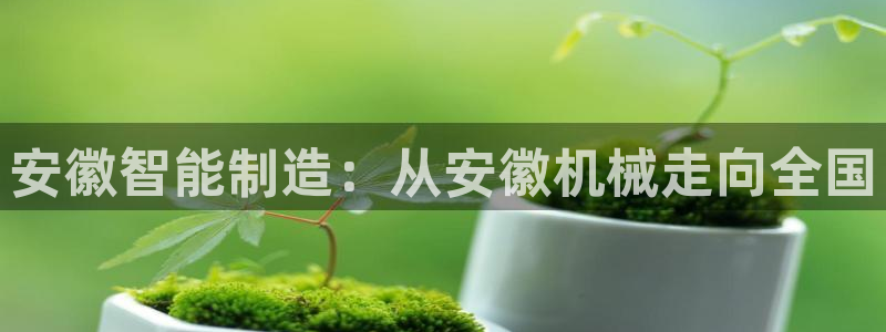 风暴娱乐自动挂