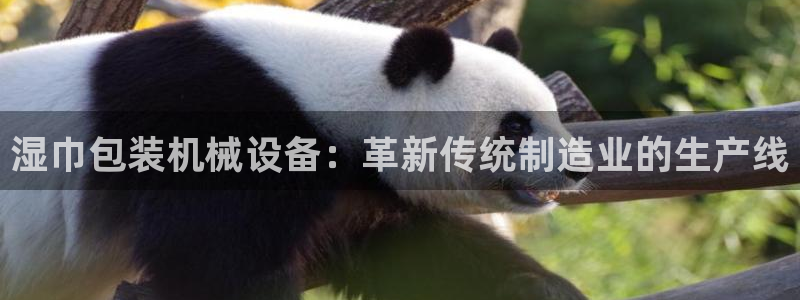 风暴娱乐主管是谁