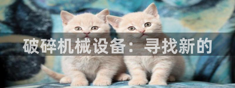 风暴娱乐求333OOc